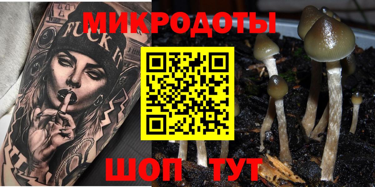 Галлюциногенные грибы Cubensis Кисловодск